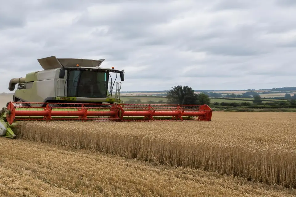 A combine harvester working through a British wheat field, showing equipment detail for a finance assessment.