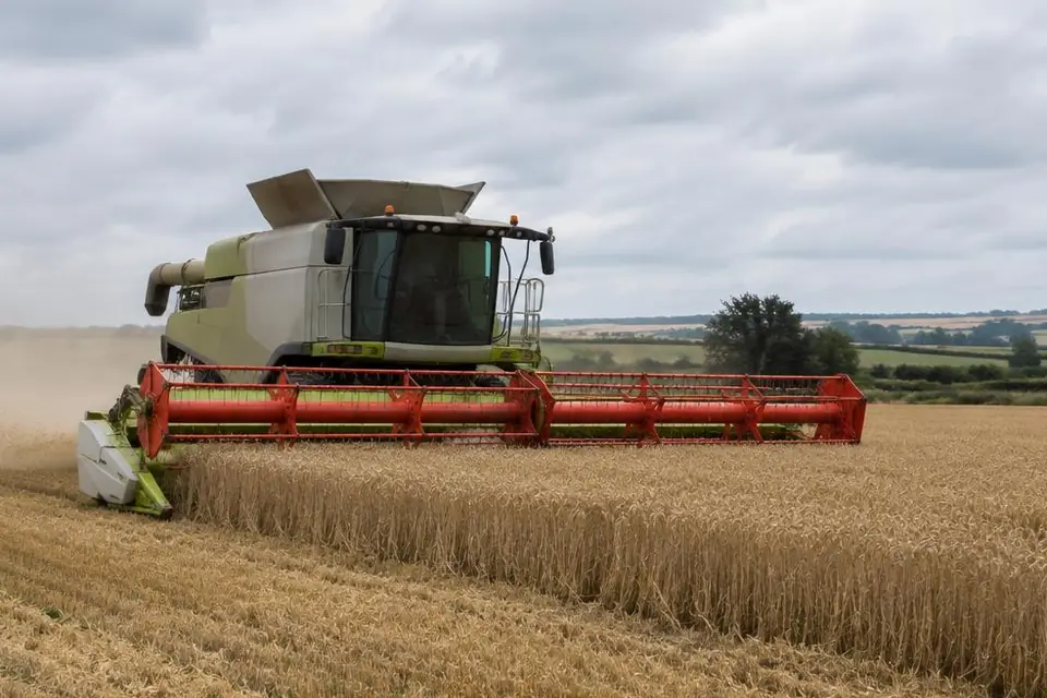 A combine harvester working through a British wheat field, showing the operating setting and condition.