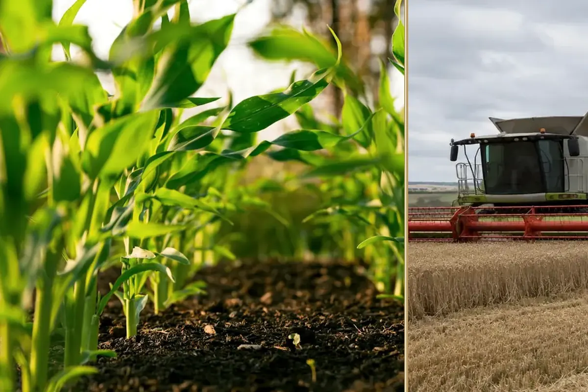5 Ways Farms Are Creating New Income Streams practical finance considerations