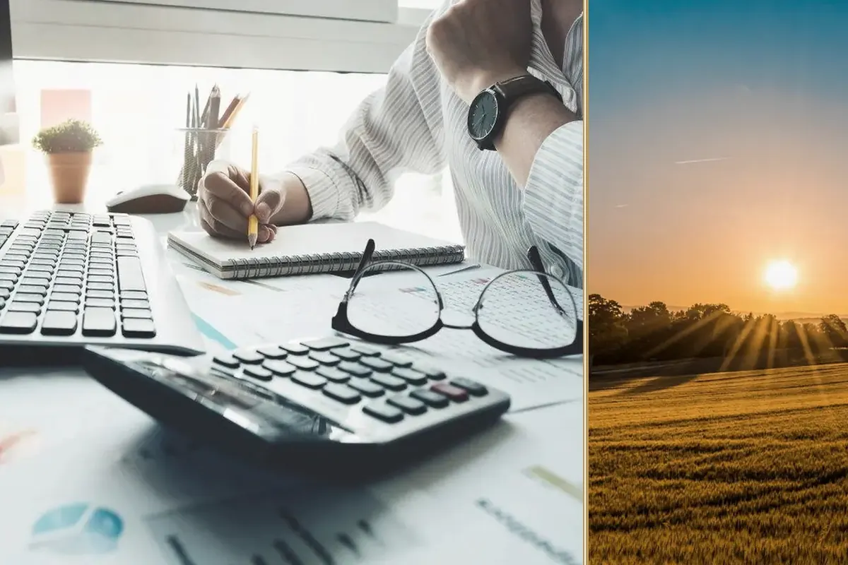 Autumn Budget 2024: Key Financial Challenges for Small Businesses and Farmers practical finance considerations