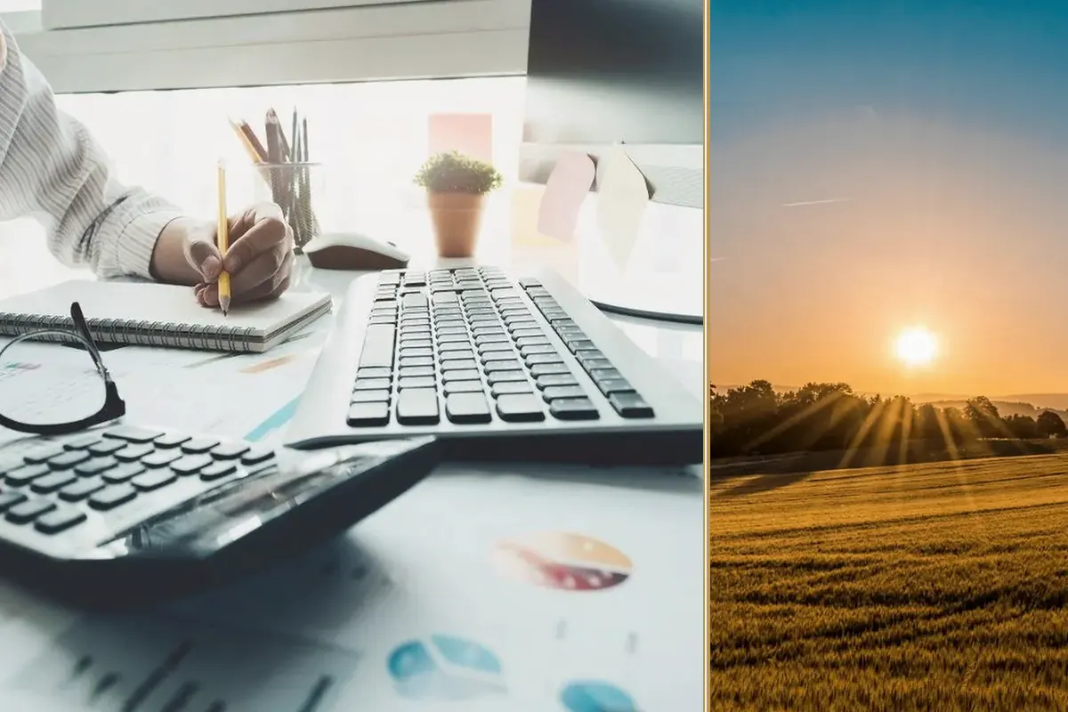 Autumn Budget 2024: Key Financial Challenges for Small Businesses and Farmers