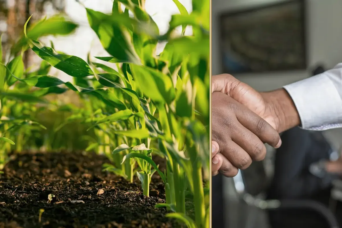 Conflict in Iran: What It Means for Oil Prices, Inflation, and Your Business equipment and business context