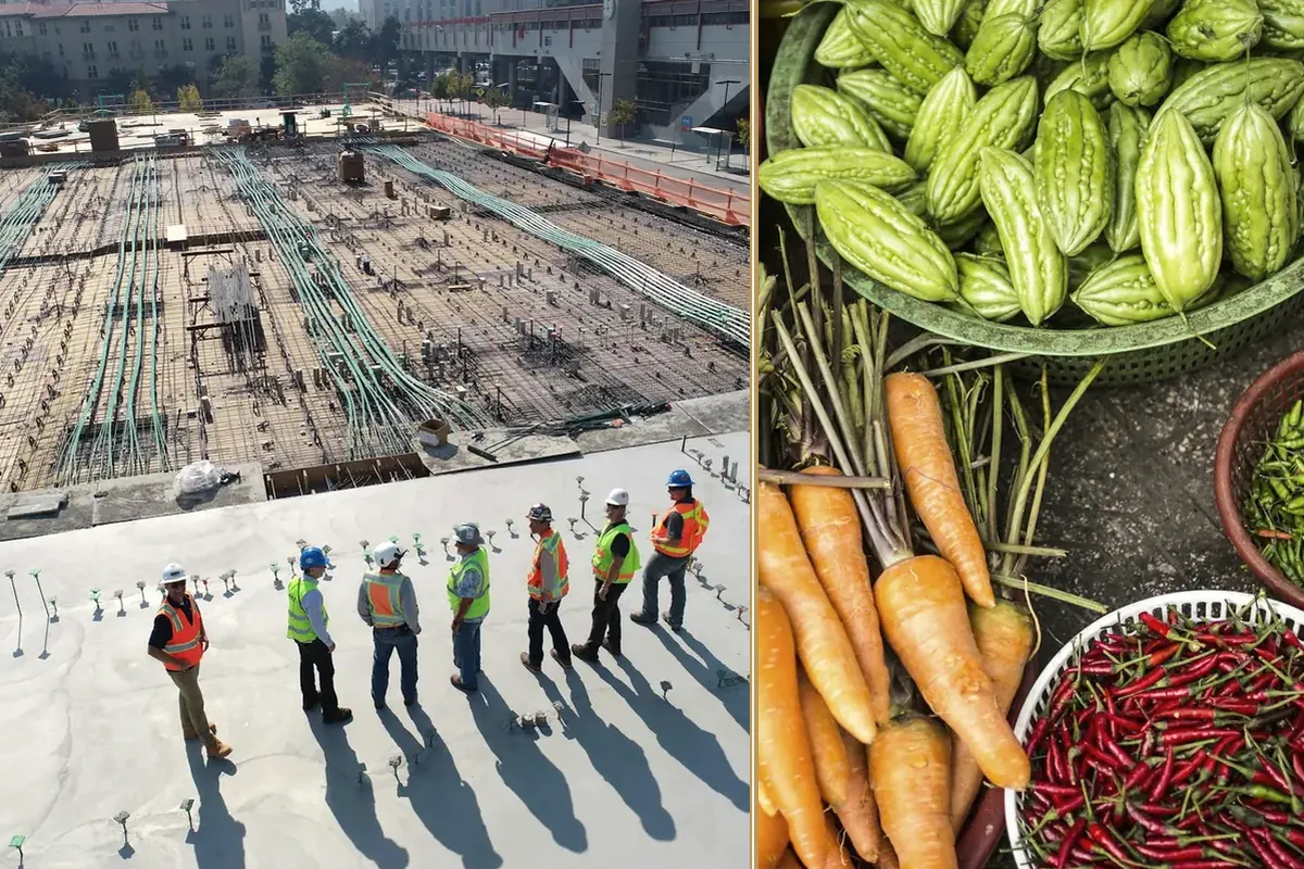 Construction Plant Finance: The Contract-Start Checklist planning and decision-making