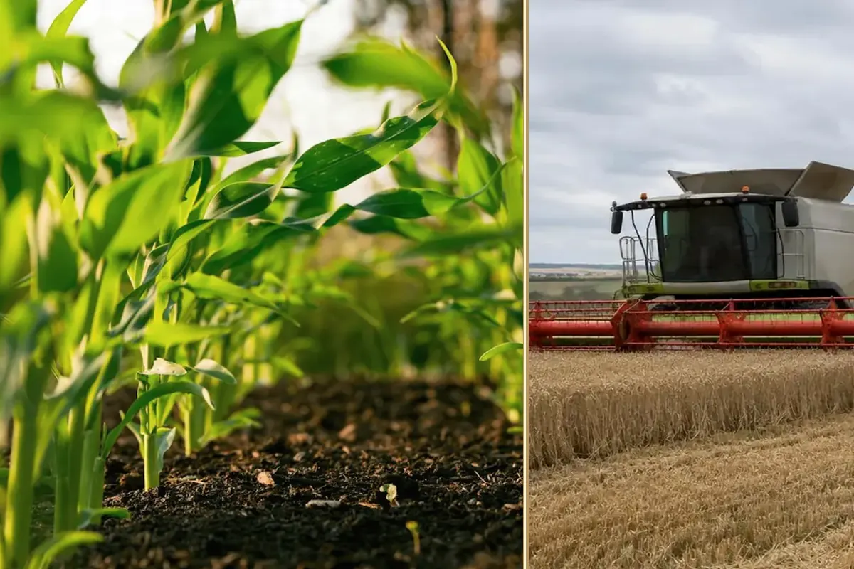 Diversifying into Renewable Energy on the Farm equipment and business context