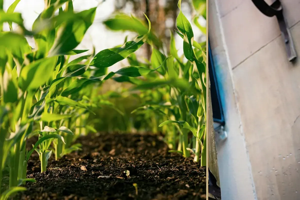 Diversifying into Renewable Energy on the Farm practical finance considerations