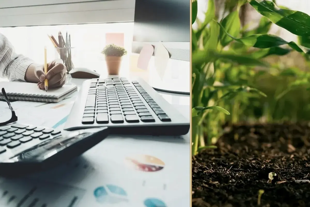 Economic Outlook for 2025 – Key Trends for Businesses to Watch equipment and business context