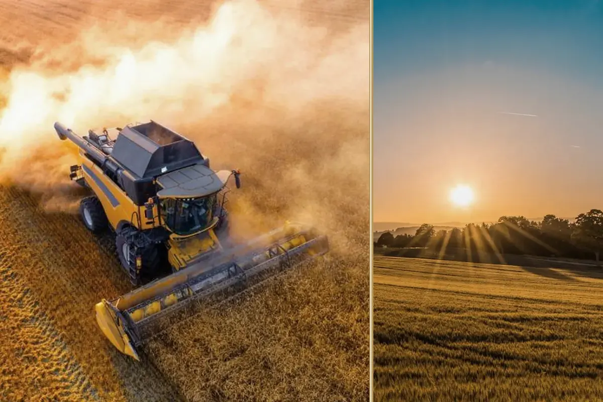 Energy, Yields and Trade: What It Means for Machinery equipment and business context