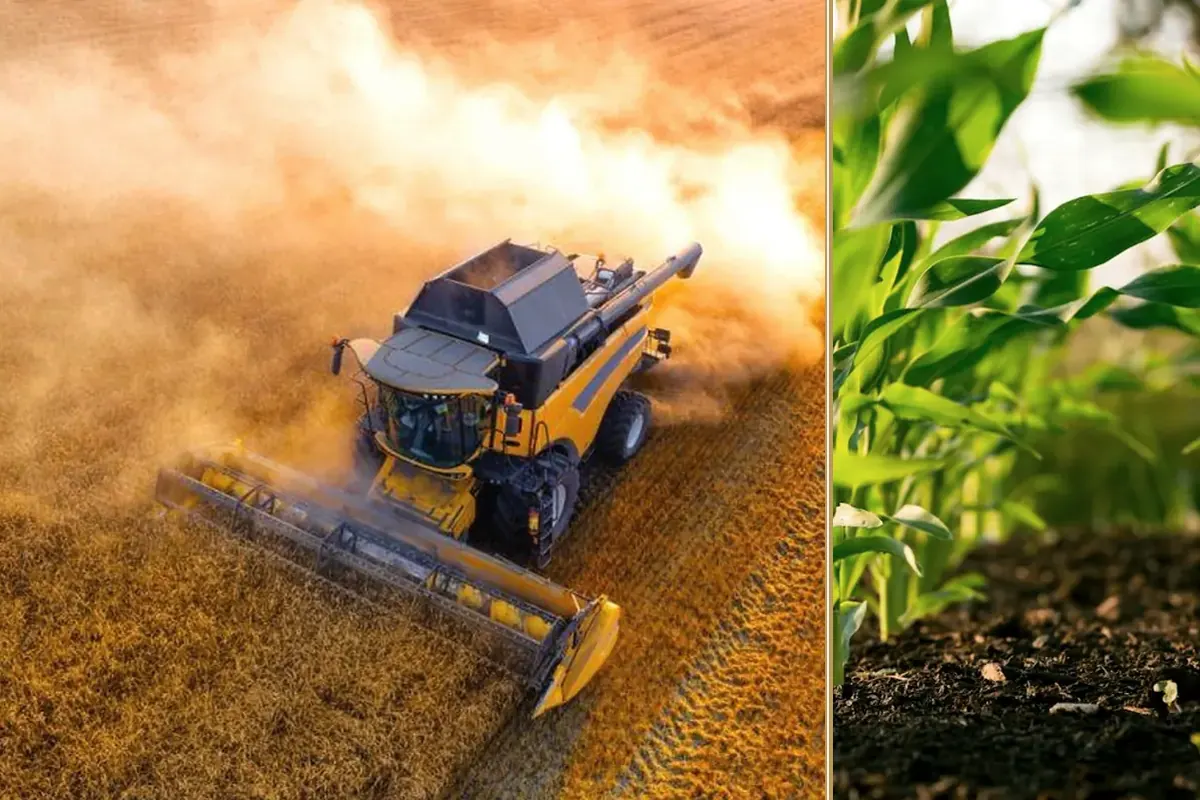 Energy, Yields and Trade: What It Means for Machinery practical finance considerations