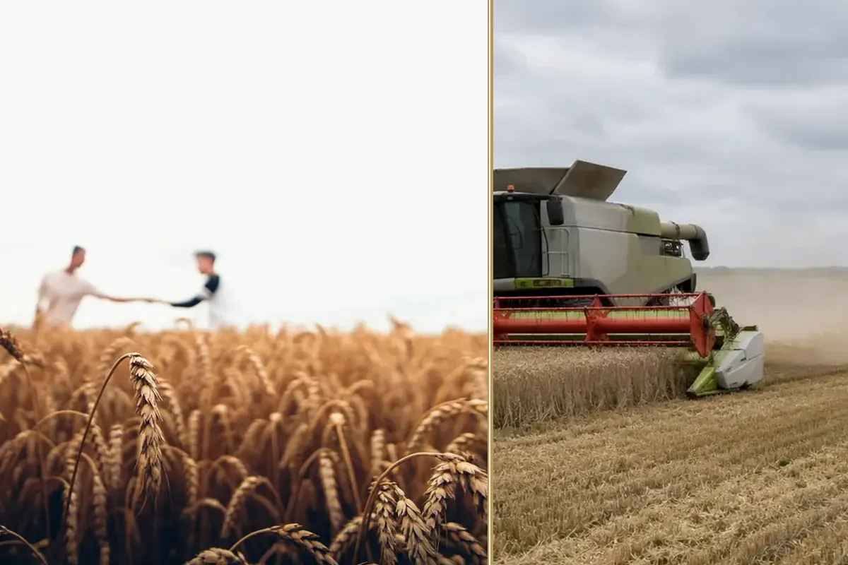Farm Machinery Lead Times: Order Before the Rush planning and decision-making