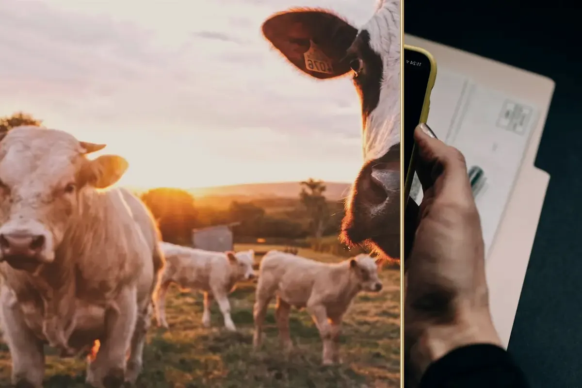 Harvest Pays Once a Year. The Bills Do Not. practical finance considerations