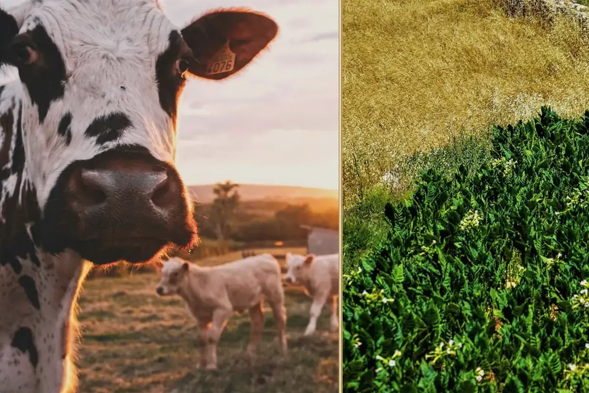 Harvest Pays Once a Year. The Bills Do Not. planning and decision-making