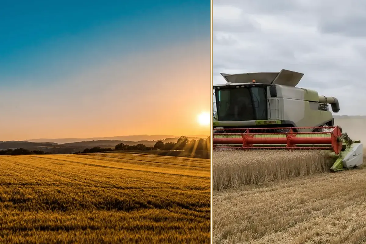 The Harvest Replacement Plan: Five Questions Before Ordering planning and decision-making