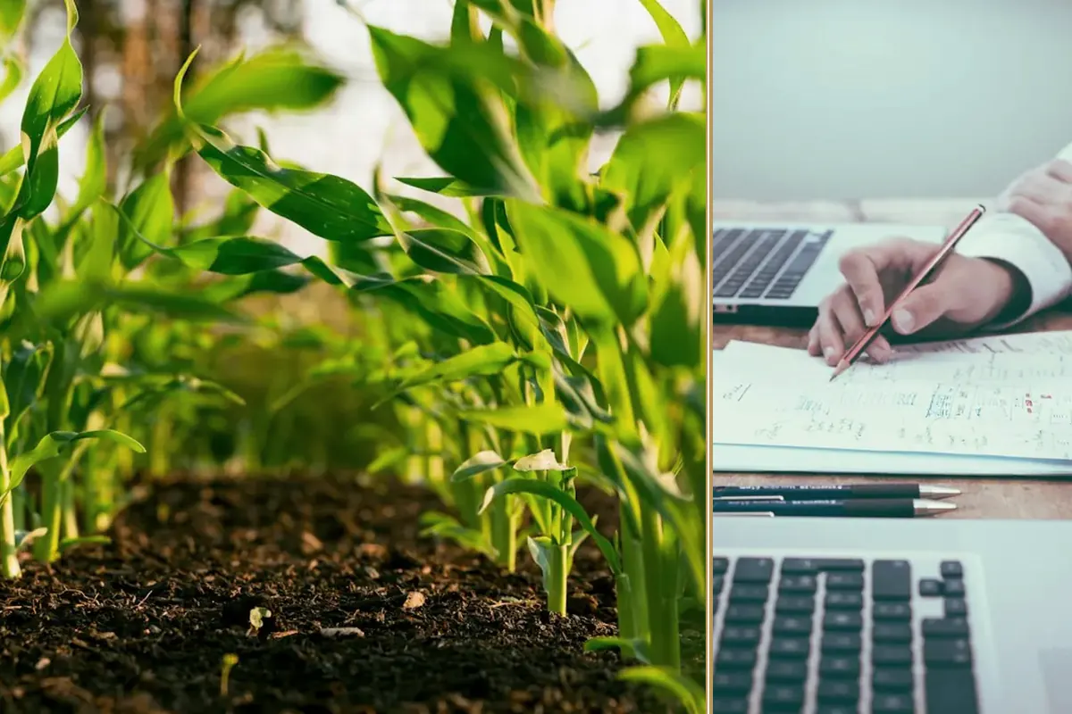 Hiring, Retention and Productivity: The Workforce Challenge
