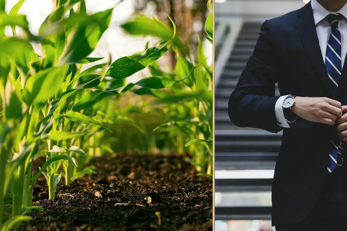 How Can Your Business Navigate Today’s Tariffs and Why Is Financial Flexibility Through Leasing Key? equipment and business context