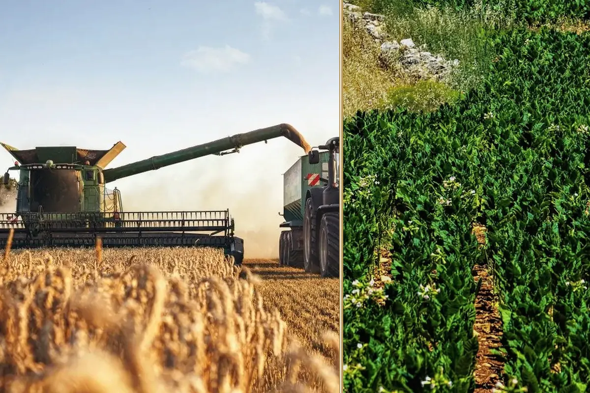 How Dealers Can Use Finance to Drive Agricultural Machinery Sales planning and decision-making