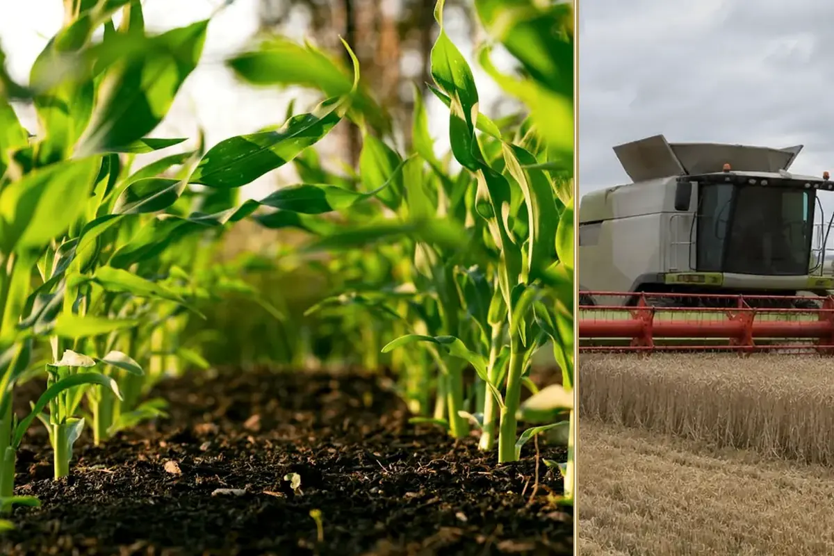 How Strong UK Farms Are Still Staying Profitable in 2026 practical finance considerations