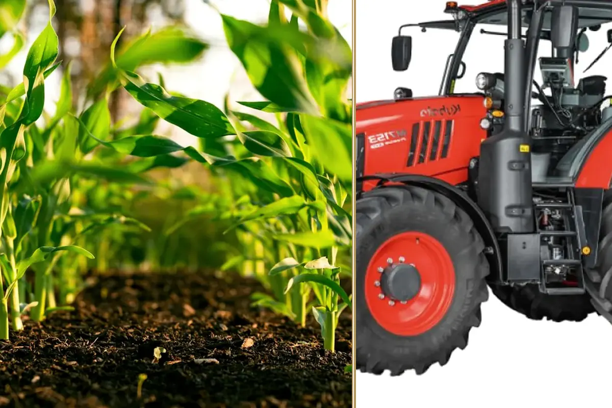 How Strong UK Farms Are Still Staying Profitable in 2026 planning and decision-making