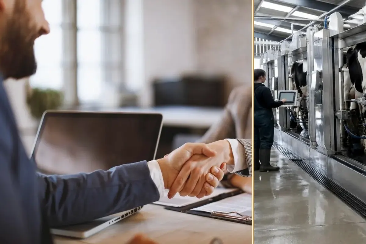 How Tailored Finance can Drive Business Success practical finance considerations