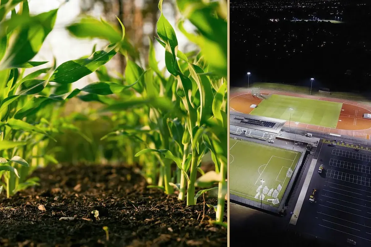Keeping Grounds Safe and Presentable in 2026 Is Getting Harder — and More Expensive equipment and business context