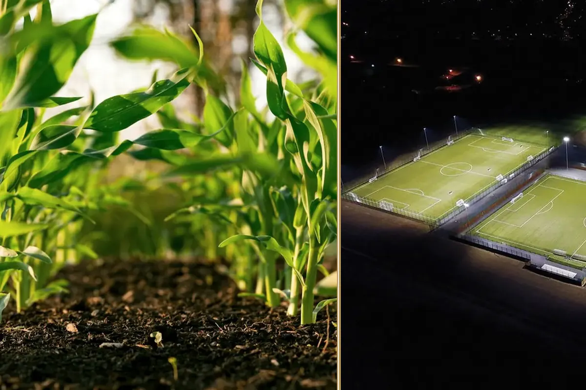 Keeping Grounds Safe and Presentable in 2026 Is Getting Harder — and More Expensive planning and decision-making