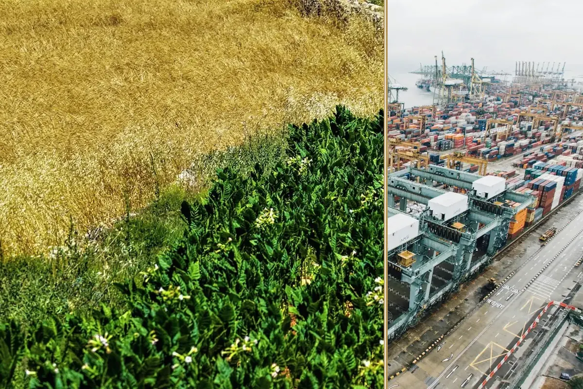 Nearly New: The Case for Used Machinery in 2026