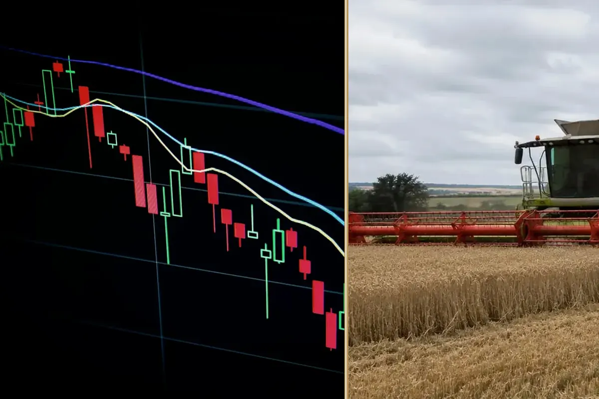 New Fed Rates and UK Inflation: What Businesses Should Do planning and decision-making