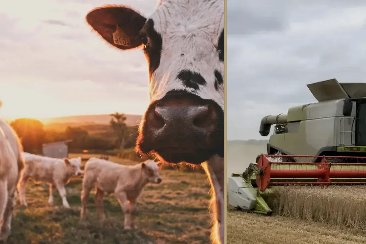 One Machine, Five Contracts: The Compact Tractor Case equipment and business context