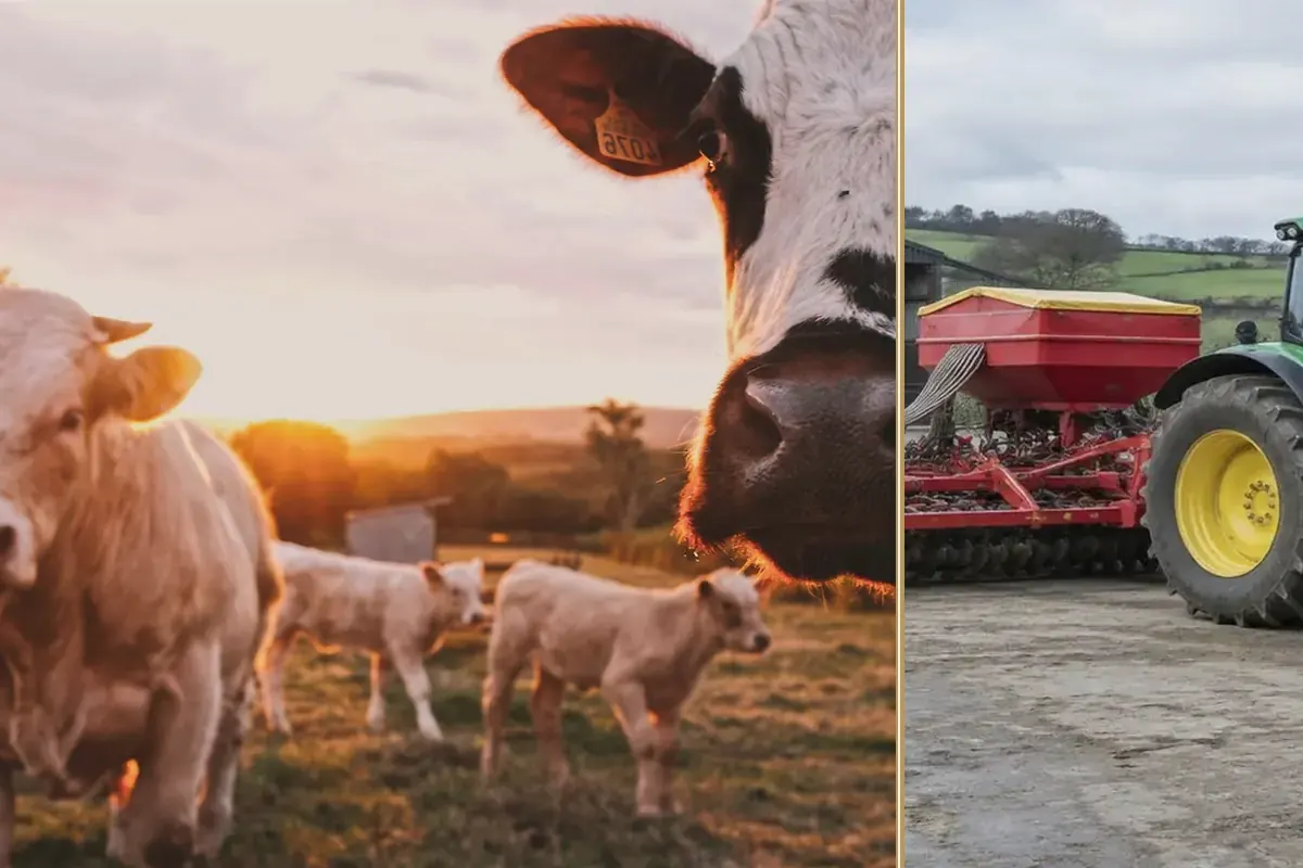 One Machine, Five Contracts: The Compact Tractor Case practical finance considerations