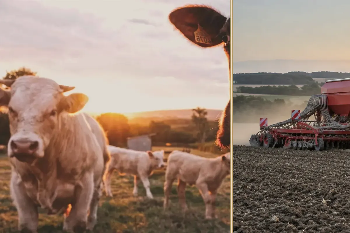 One Machine, Five Contracts: The Compact Tractor Case