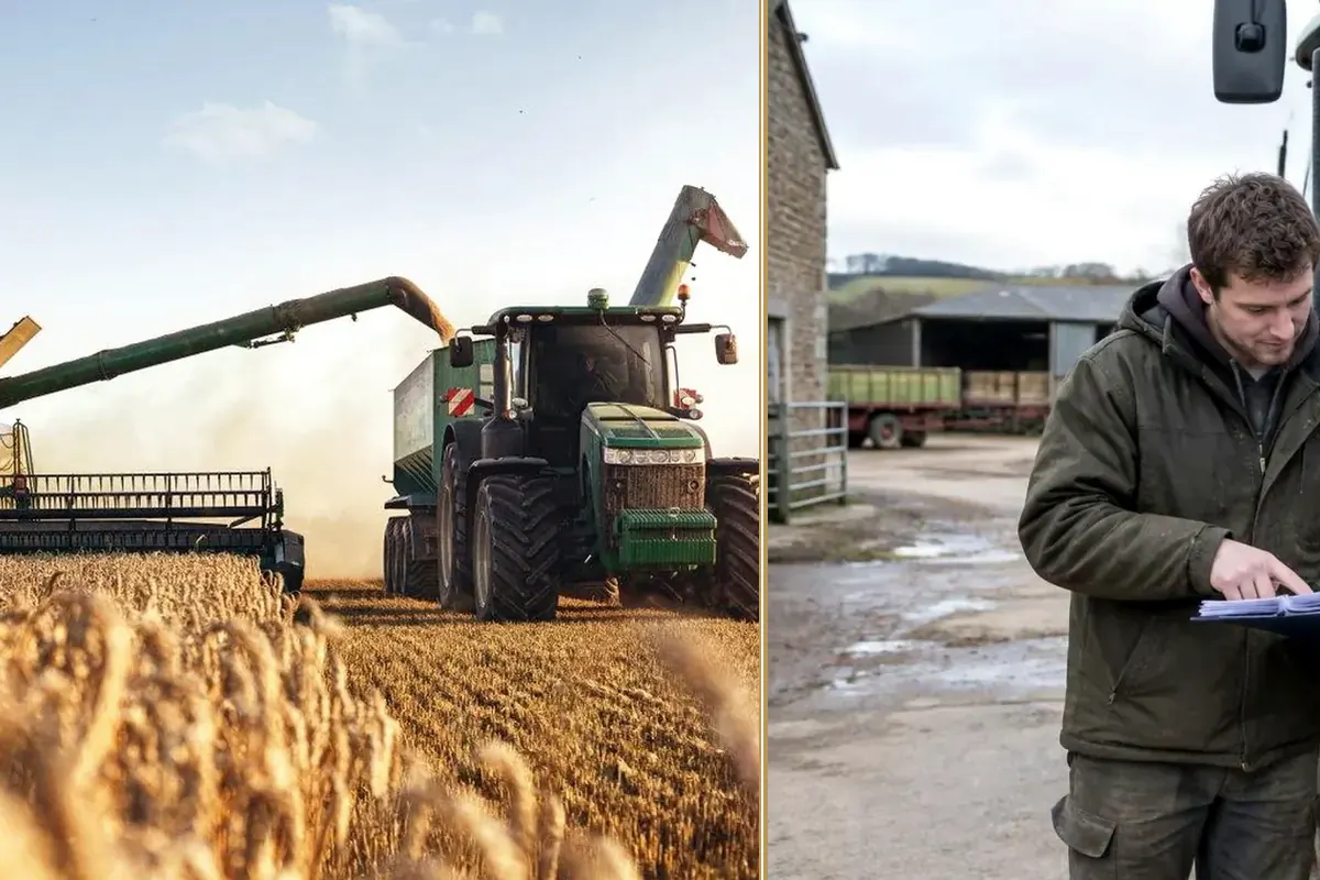 Planning Cash Flow Around the Seasons: Farming Through Volatility planning and decision-making