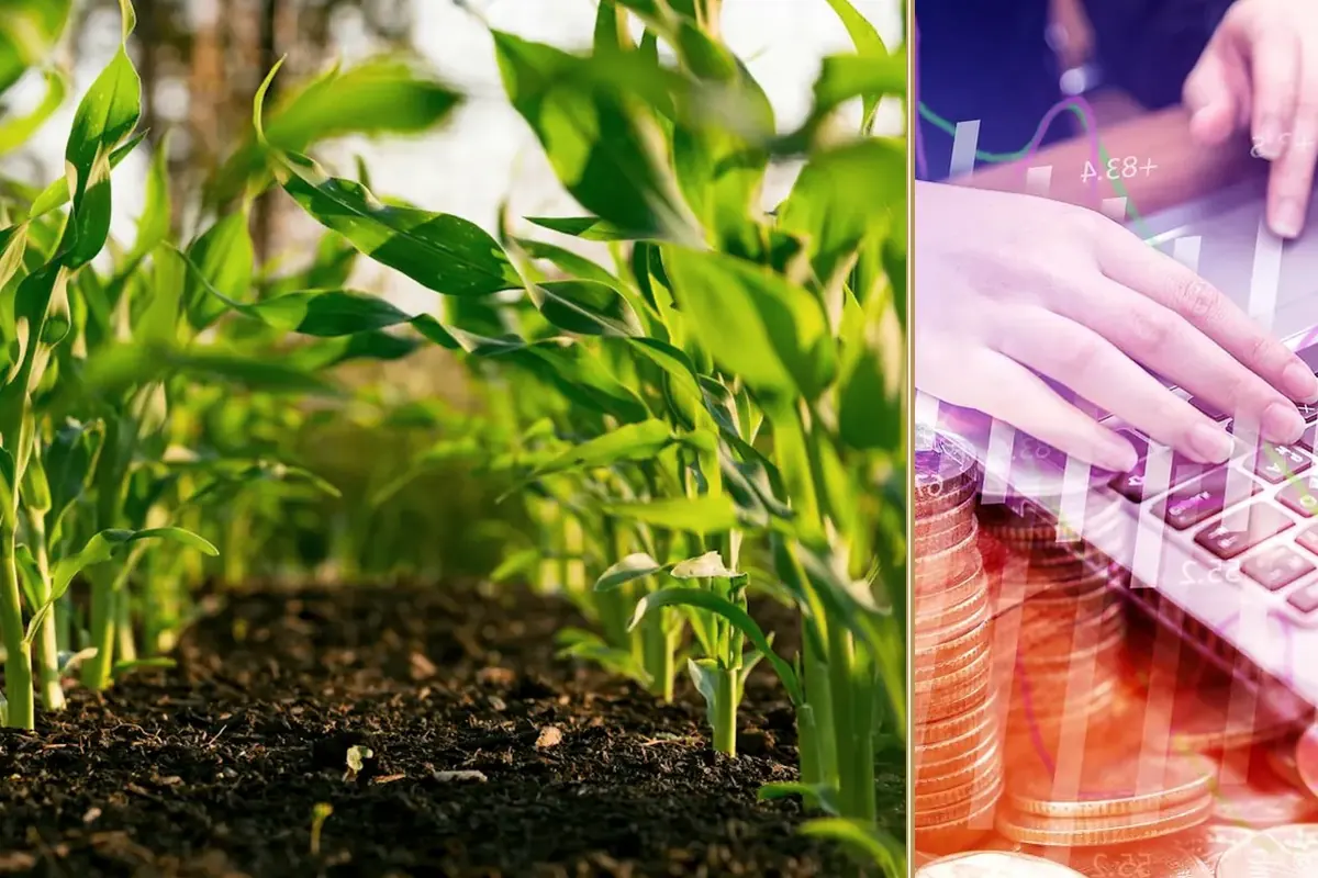 Rising Input Costs in 2026: What Farmers Can Control (and What They Can’t) practical finance considerations