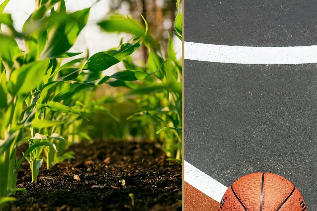 Rising Input Costs in 2026: What Farmers Can Control (and What They Can’t) planning and decision-making