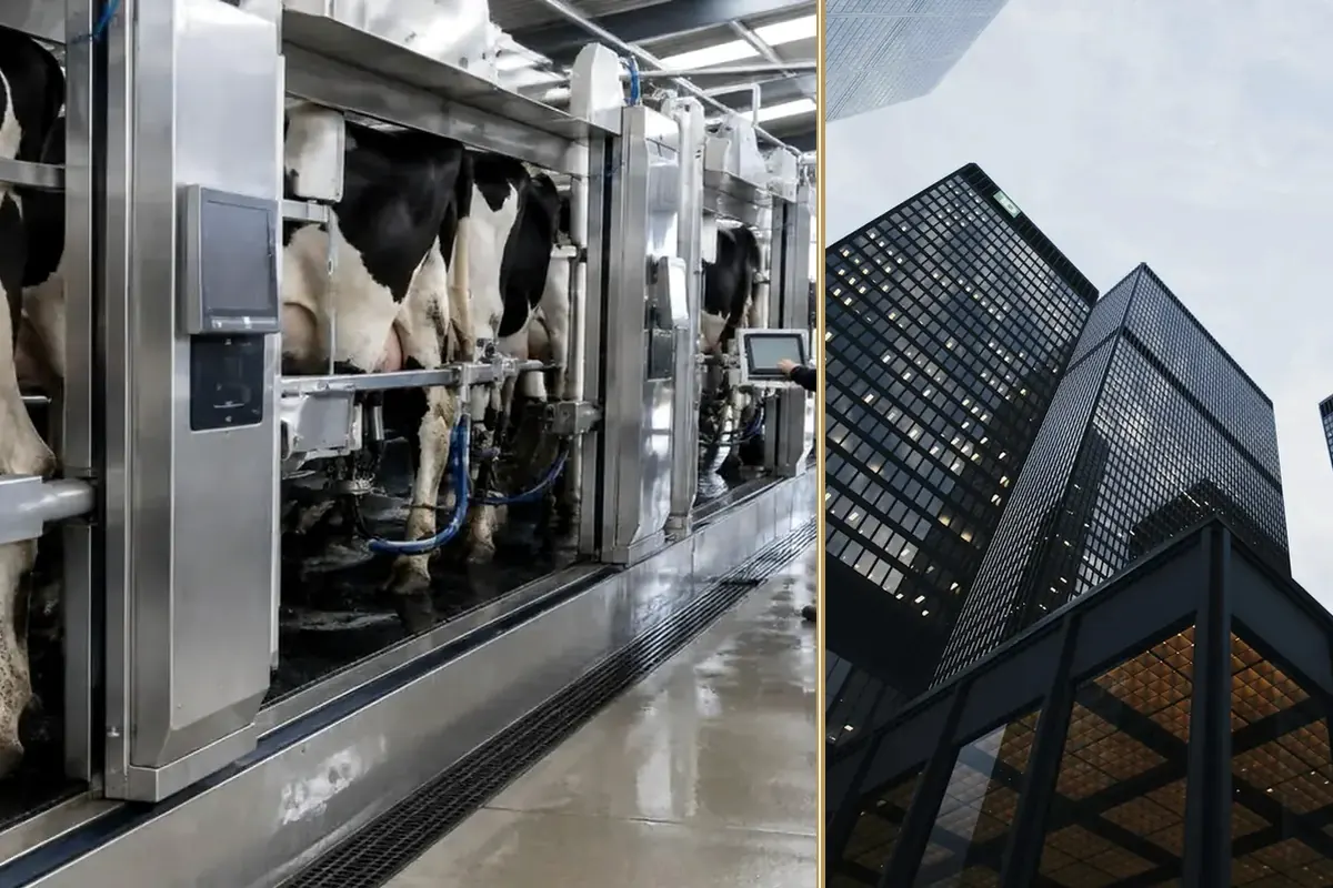 Solar Carport Finance for Businesses and Sports Clubs equipment and business context