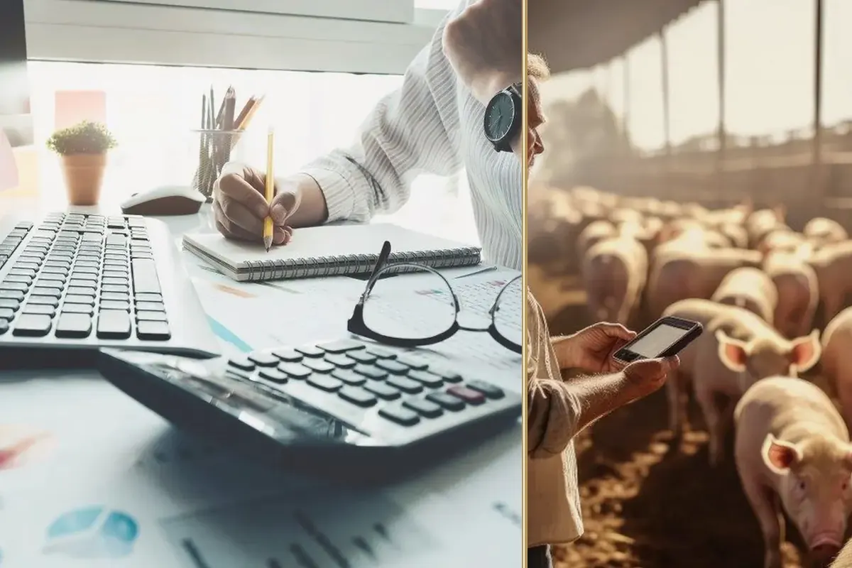 Spring Budget 2025: A Tough Road Ahead for Businesses equipment and business context