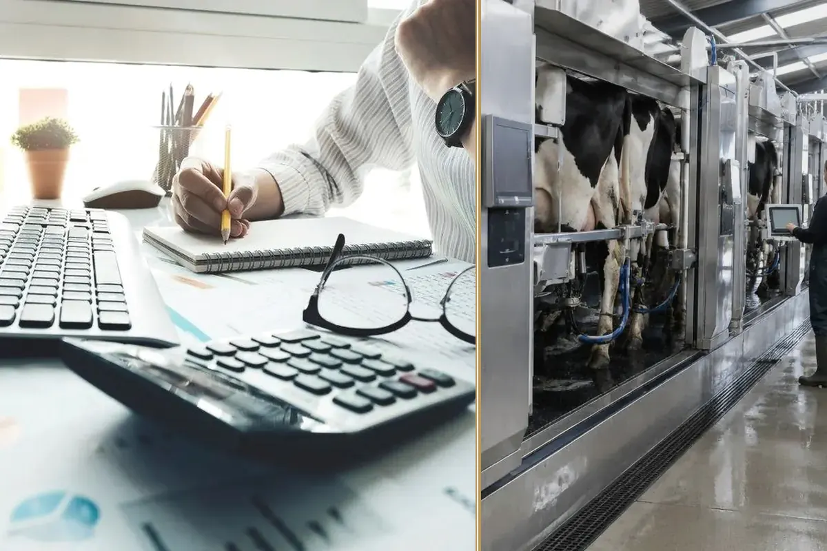 Spring Budget 2025: A Tough Road Ahead for Businesses planning and decision-making