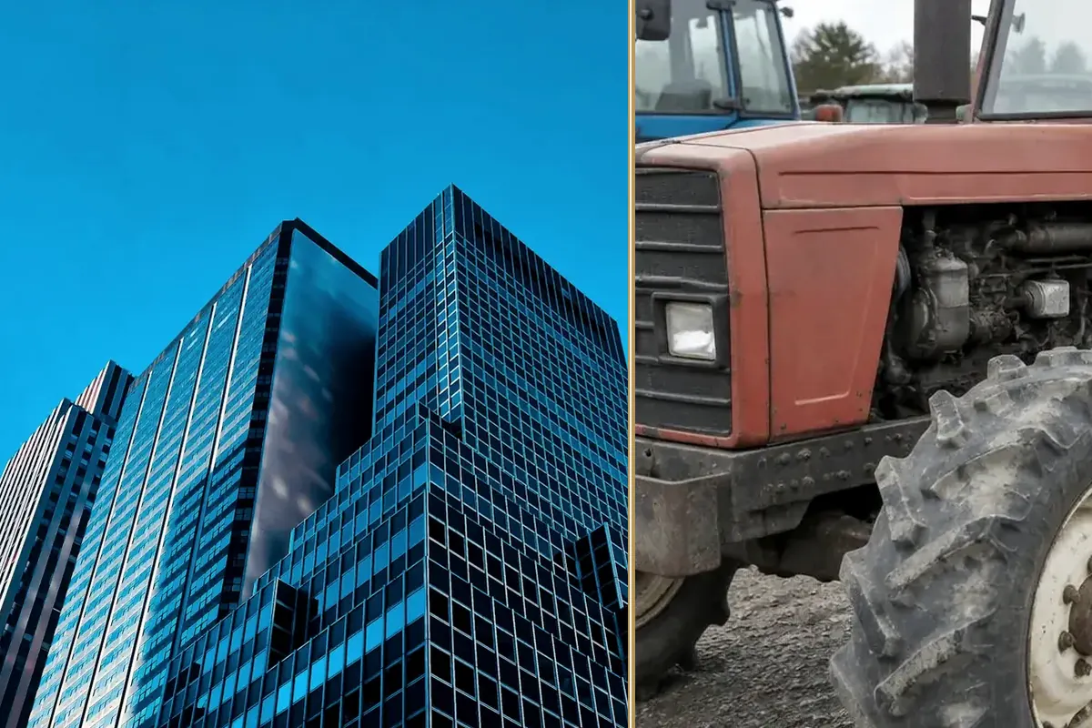 The Order You Cannot Afford to Win planning and decision-making