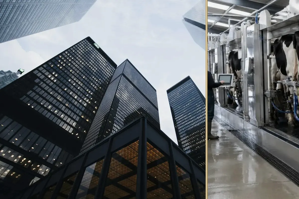 The Van Fleet Question Every Small Business Is Facing practical finance considerations