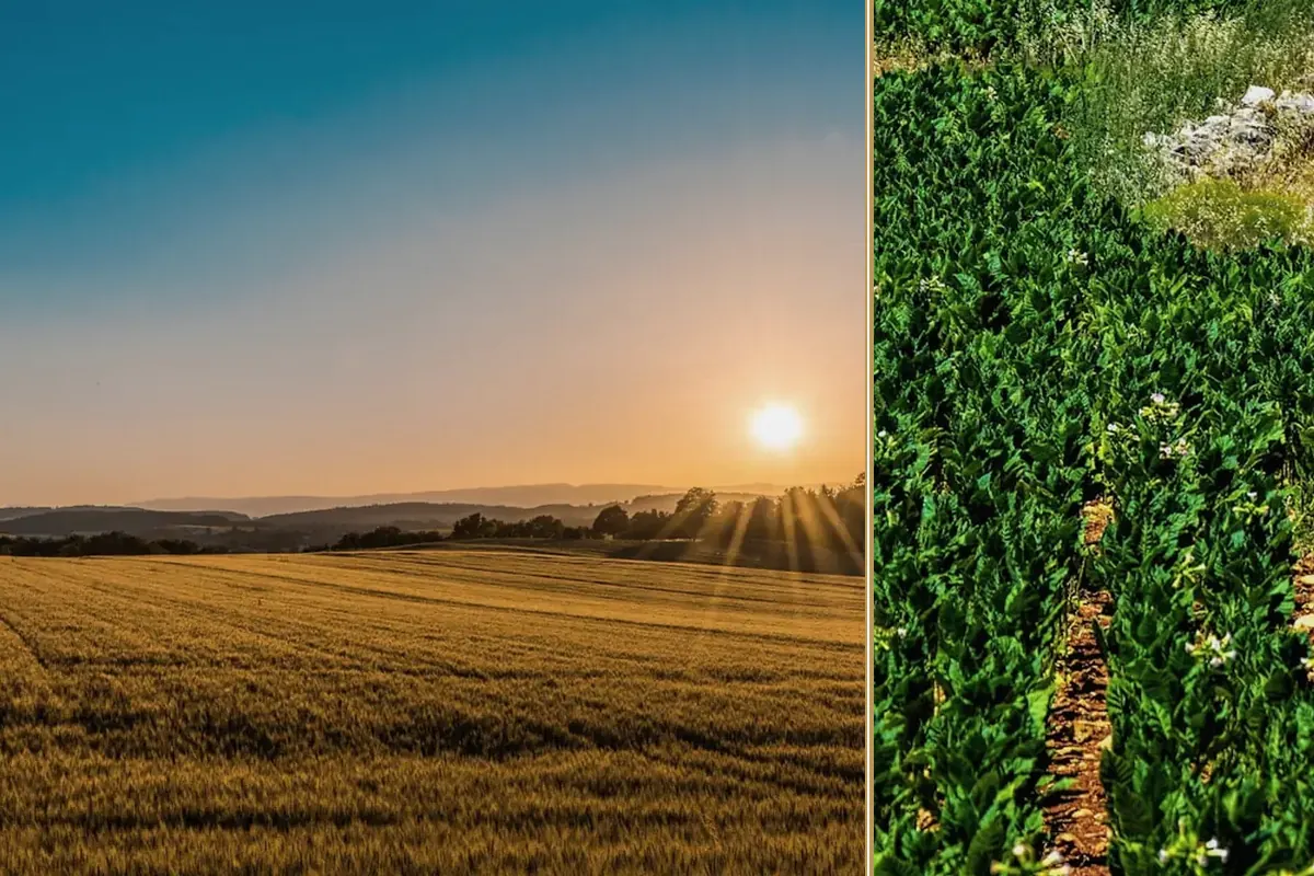 UK Inflation and the Machinery Replacement Decision
