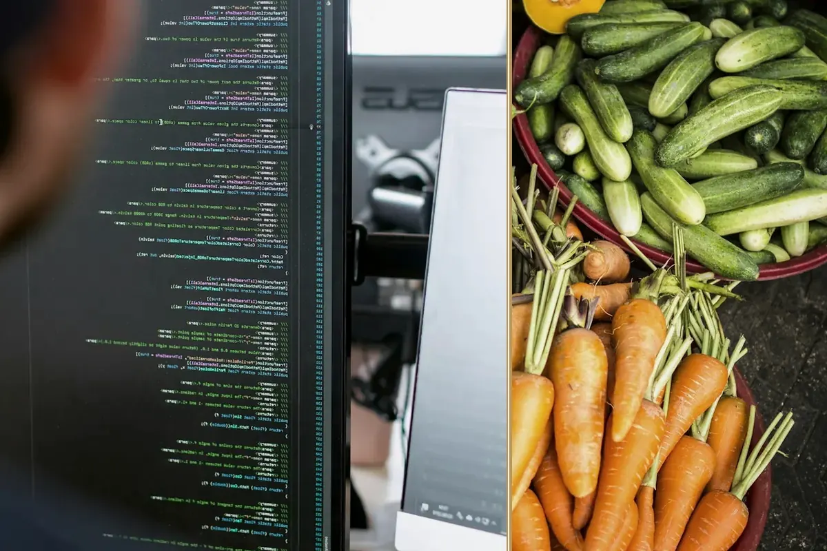 Used or New Plant? Compare the Whole Working Cost equipment and business context