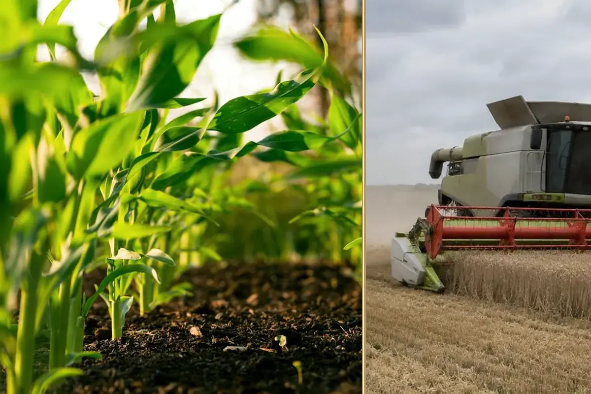 What the New Inheritance Tax Rules Mean for Your Farm equipment and business context