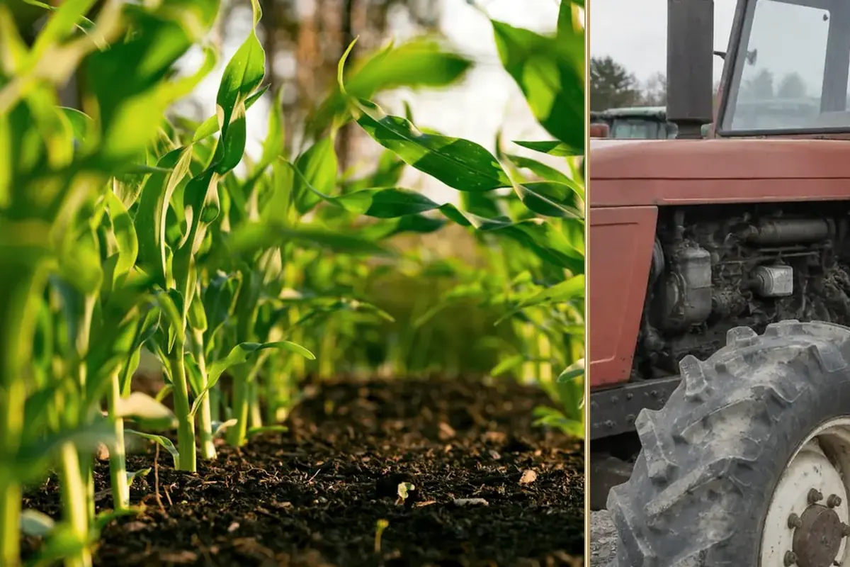 What the New Inheritance Tax Rules Mean for Your Farm practical finance considerations