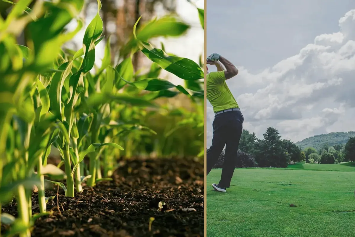 What the New Inheritance Tax Rules Mean for Your Farm planning and decision-making