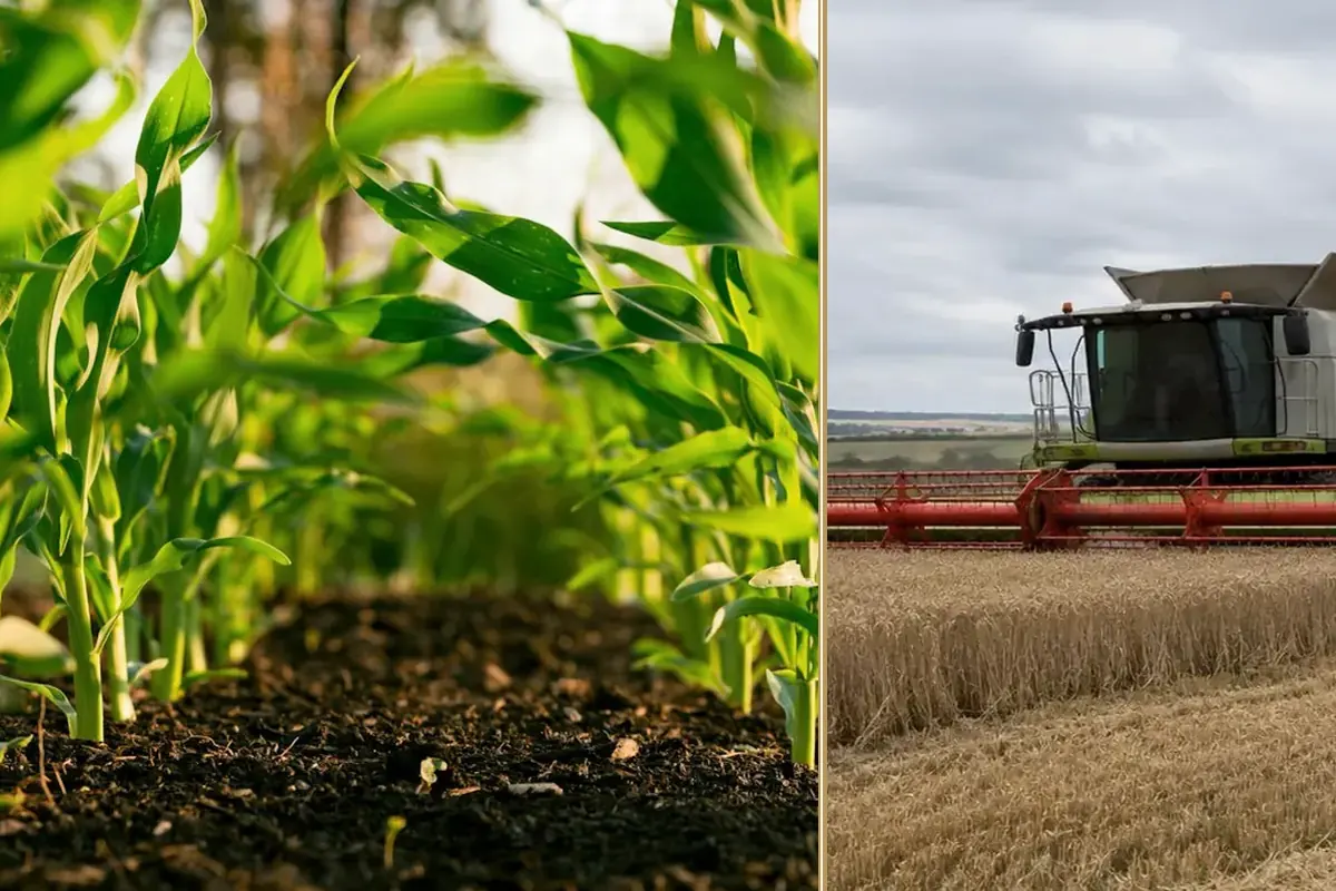 What to do When Farm Running Costs Won’t Stay Still equipment and business context