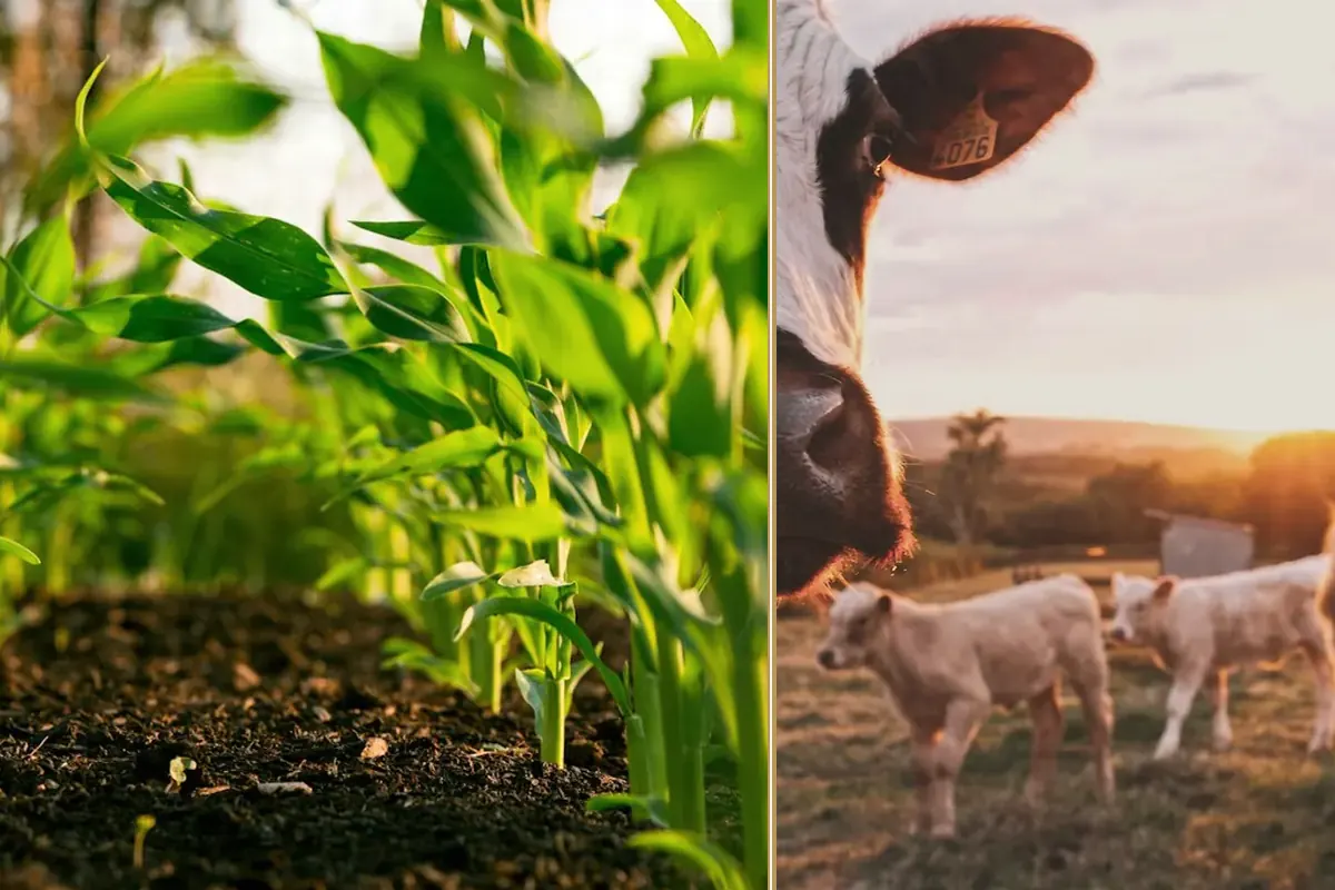 What to do When Farm Running Costs Won’t Stay Still planning and decision-making