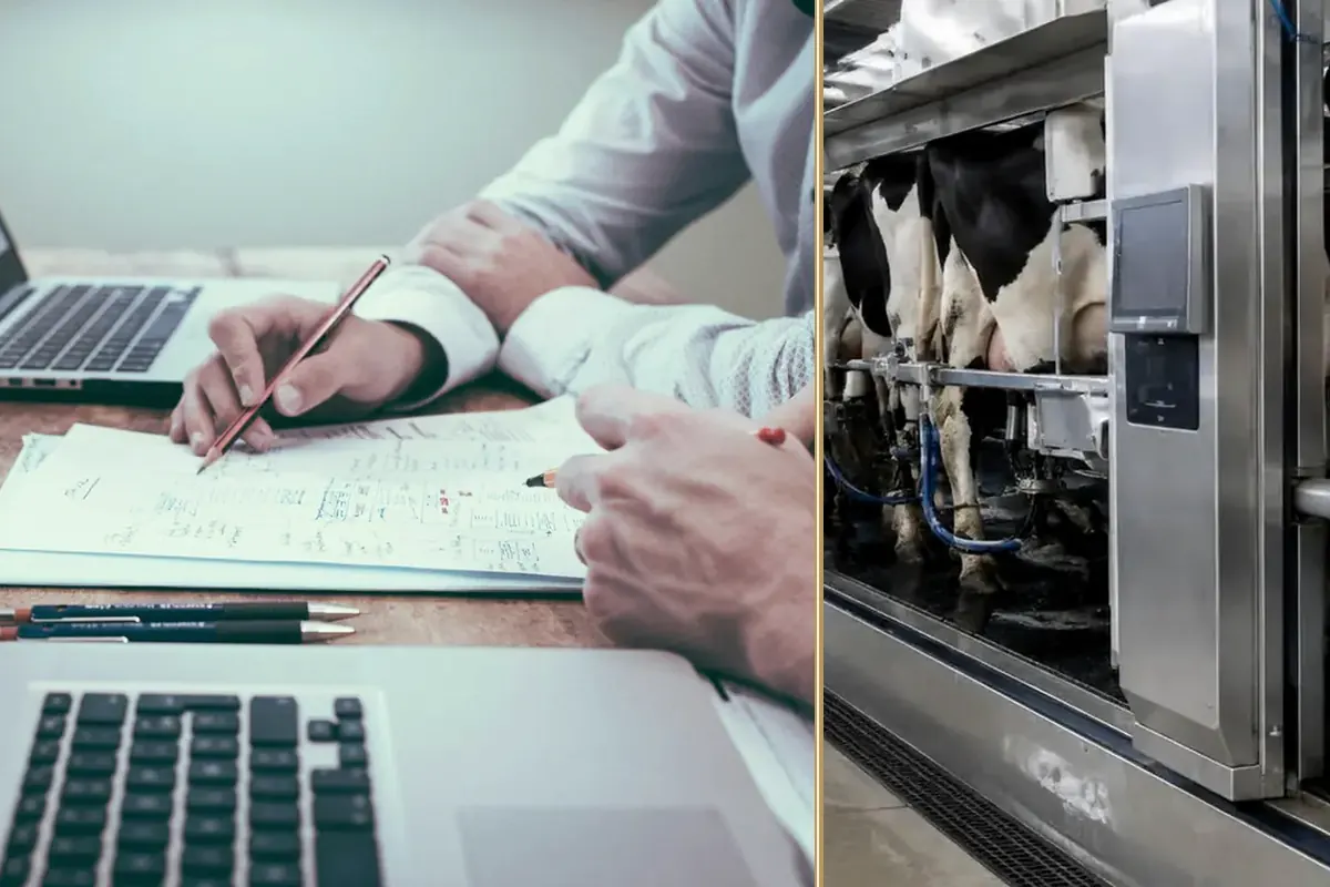 What Your Accountant Sees When You Finance an Asset equipment and business context