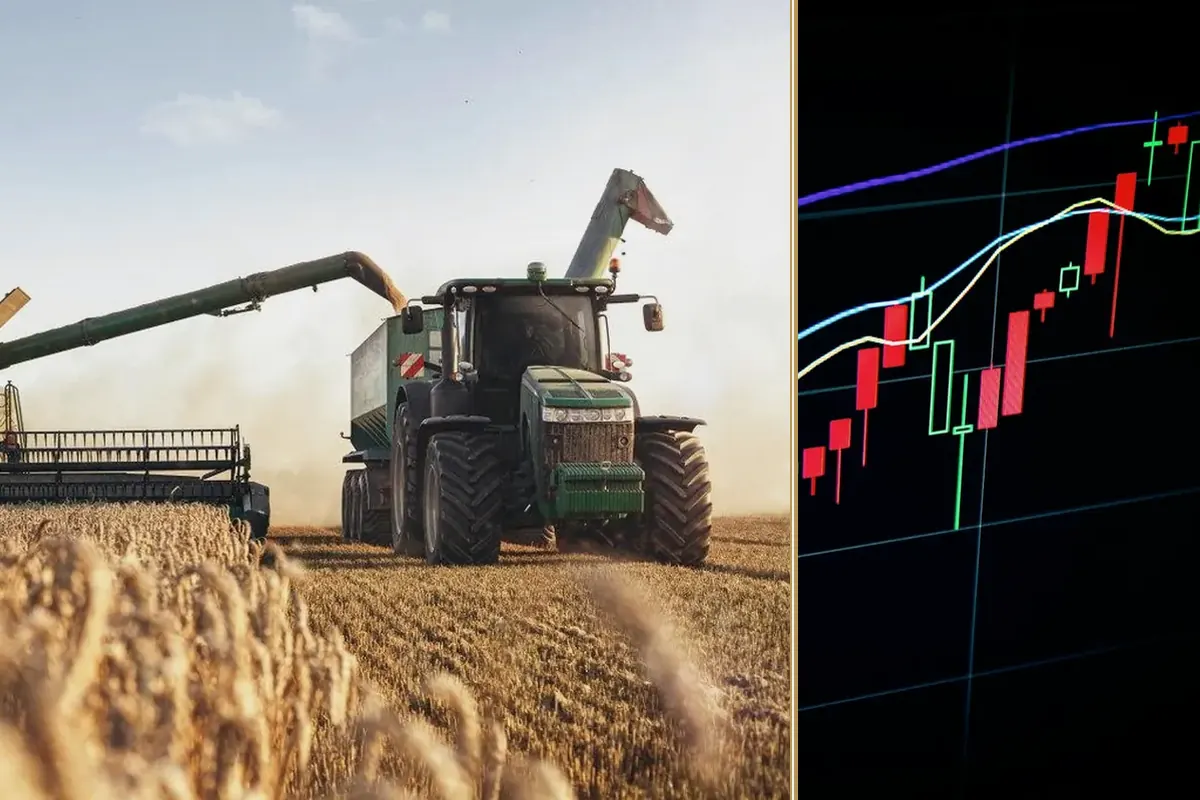 What’s Coming in the Autumn Budget 2025: What Businesses Need to Know