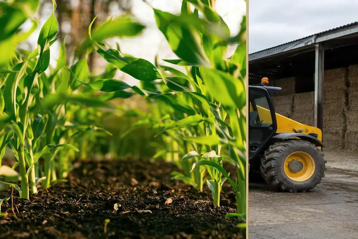 Why Flexible Finance Is Becoming a Farmer’s Best Friend practical finance considerations