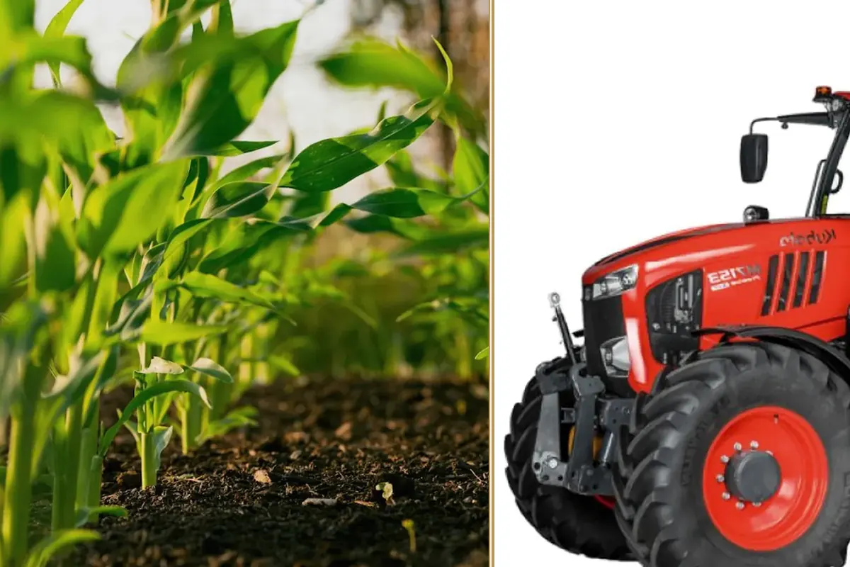 Why Flexible Finance Is Becoming a Farmer’s Best Friend planning and decision-making