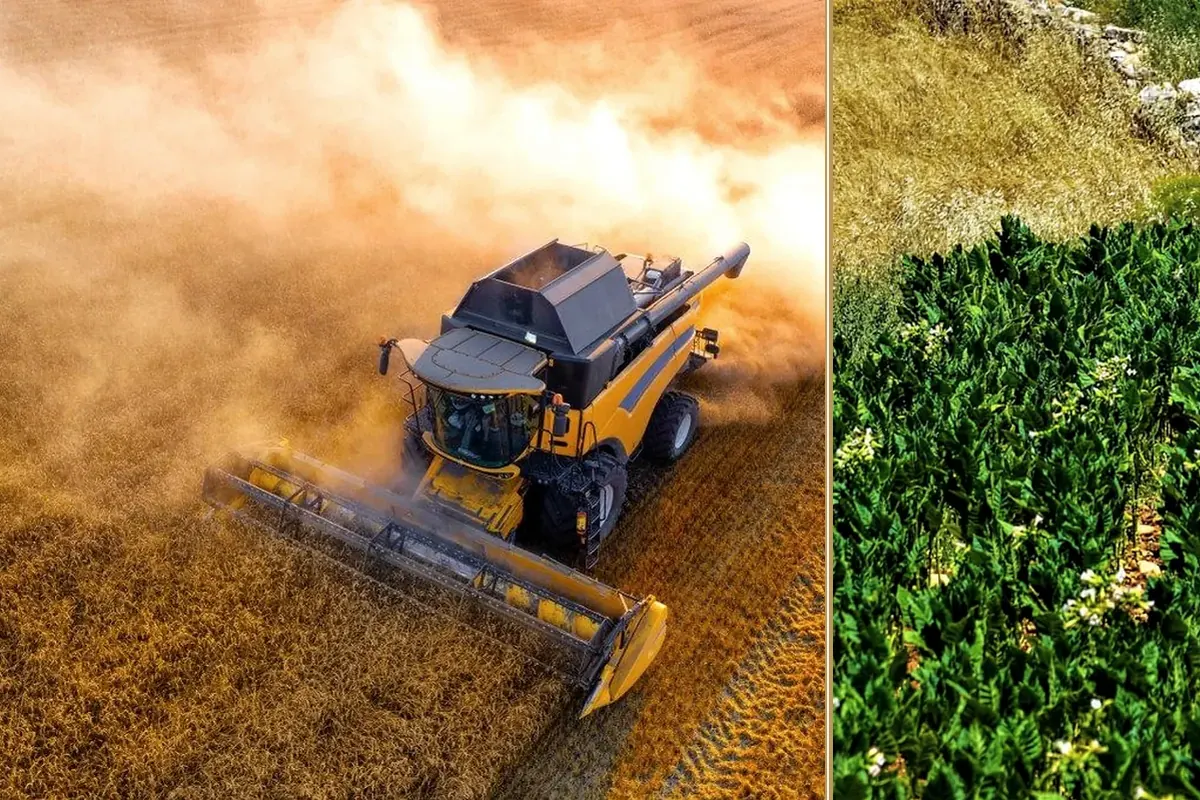 Why So Many UK Farms Are Feeling the Pressure This Year practical finance considerations
