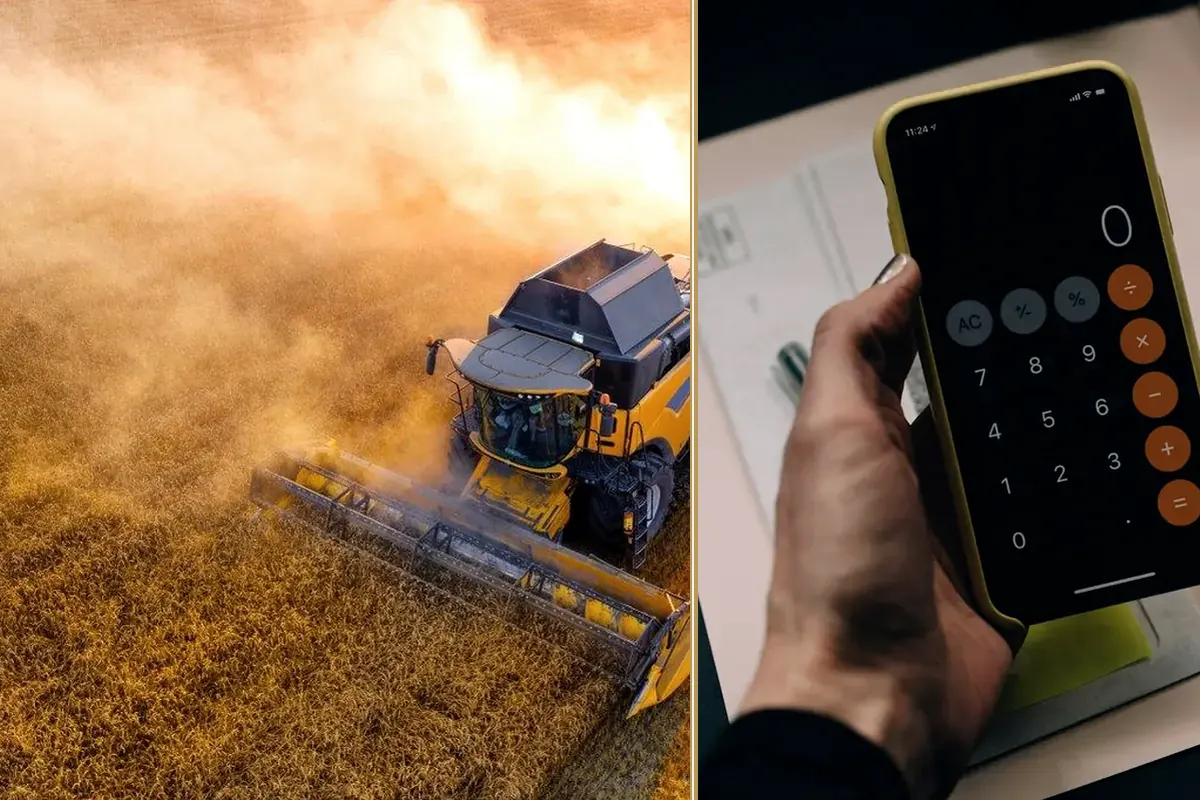 Why So Many UK Farms Are Feeling the Pressure This Year planning and decision-making